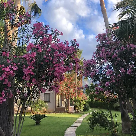 High Life فندق Kazaphani